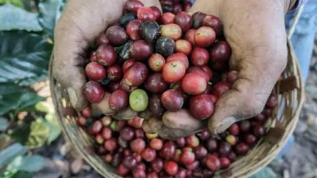 Mão segurando frutosbanco inter na bet365café