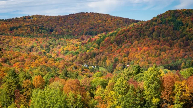 Vistavasco e sportmontanhas com plantas no outono