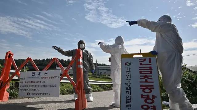 Trabajadores con trajes especiales imponiendo una cuarentena en una granja porcina en Corea del Sur en 2019