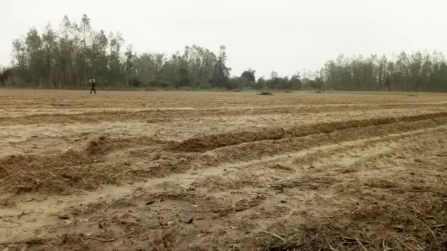 ओला वृष्टि के बाद खेत की हालत