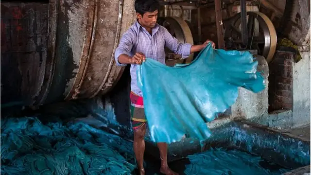 কাঁচা ও ওয়েট ব্লু চামড়া রপ্তানির অনুমতি দেয় বাণিজ্য মন্ত্রণালয়