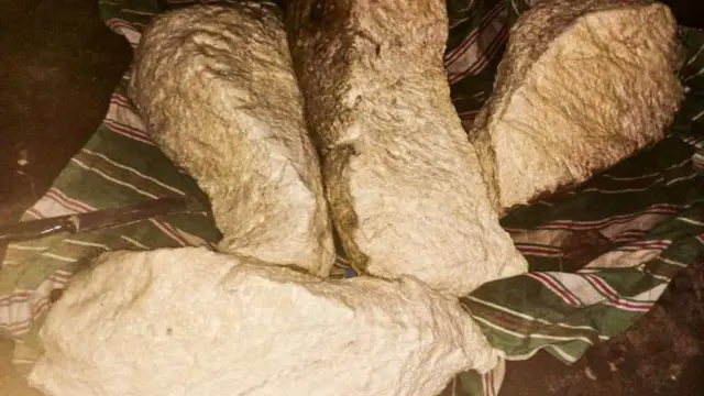 “තල්මසා ආහාරයට ගන්නේ දැලිපොතු සහිත ඉස්සෝ දැල්ලෝ වගේ ජාති. මෙයලගේ කටු ජීරණය නොවිම නිසා තල්මසාගේ ආහාර මර්ගය තුළ කටු තැන්පත් වීම නිසා තමයි මේ ටික හැදෙන්නේ. ඔය අම්බරවල තියෙන්නේ ඒ අදාළ සංඝටක ටික තමයි. ඒවා නොදිරූ ද්‍රව්‍ය ලෙස අම්බරවල තියෙනවා කියලා තමයි හඳුනාගෙන තියෙන්නේ.”