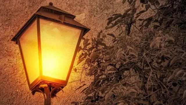 كان الطفل فرانك يحب مشاهدة أعمدة الإنارة مضاءة في الشارع