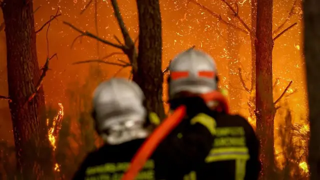 Пожежники гасять полумʼя в лісі за 30 км від французького міста Бордо