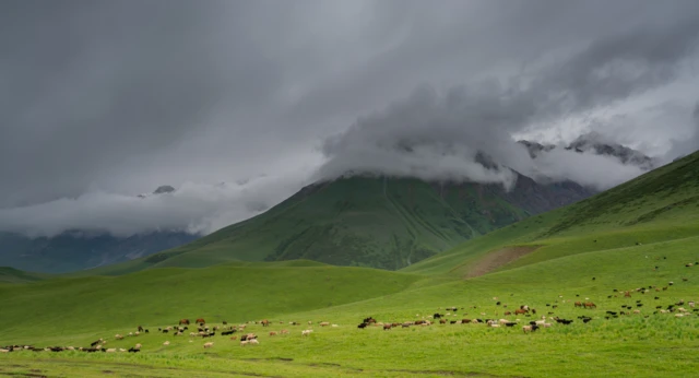 Нурсултан: менин лагерим жайлоо эле...