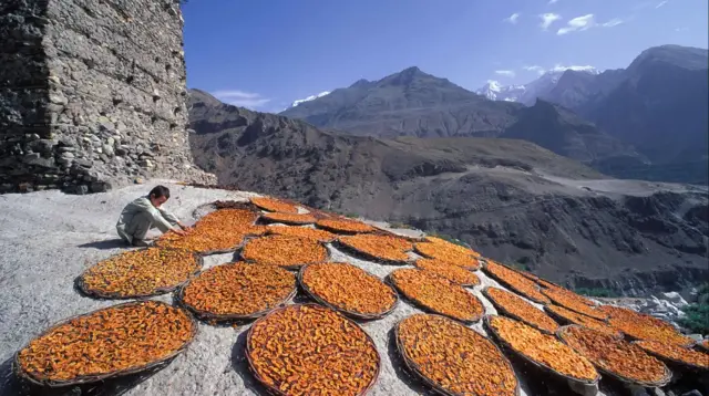 ఎండబెట్టిన ఆప్రికాట్స్