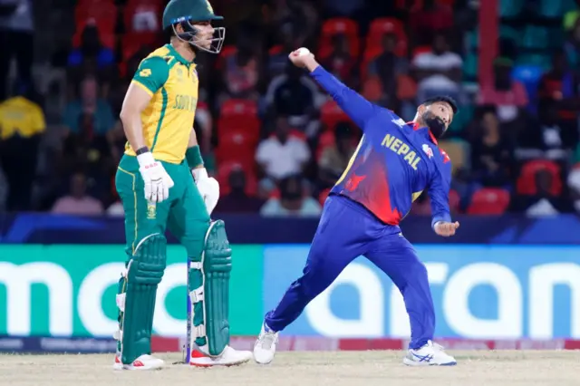 क्रिकेट 