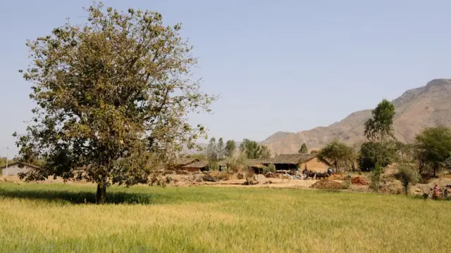 પ્રતીકાત્મક તસવીર