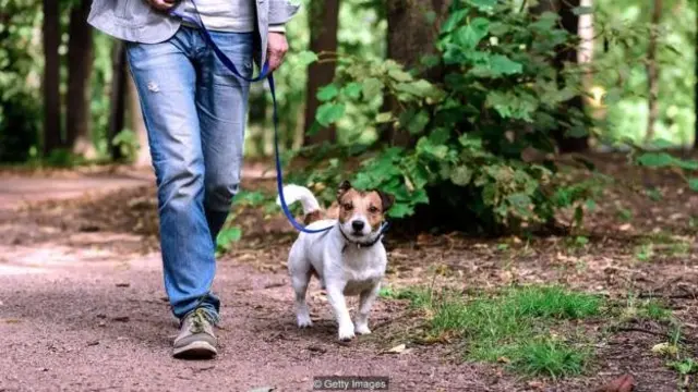 Homem andando com cachorro