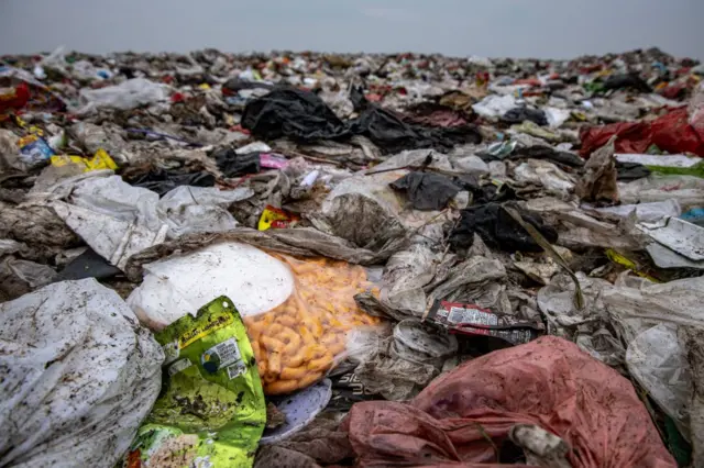 Sampah makanan terlihat bercampur dengan sampah lainnya di TPA Jabon, Sidoarjo, Jawa Timur.