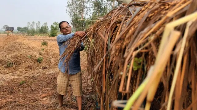 उत्तर प्रदेश
