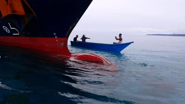 raja ampat, caledonian sky, terumbu karang
