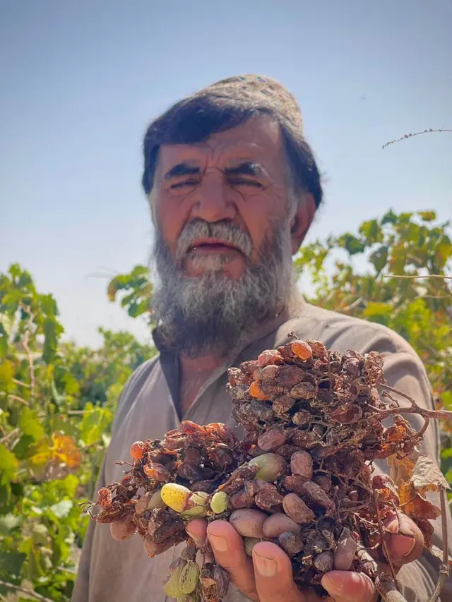 ڈیم ٹوٹنے کے بعد سیلاب آنے سے کئی باغات تباہ ہوئے