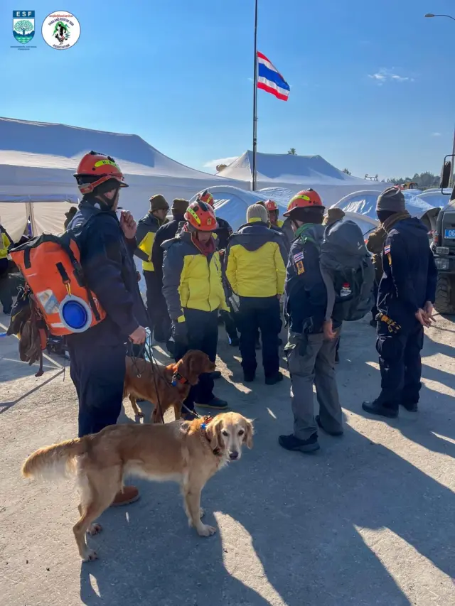 ทีม USAR Thailand 42 นาย พร้อมด้วยสุนัขกู้ภัย K9 ‘เซียร่า’ และ ‘ซาฮาร่า’ เข้าร่วมภารกิจค้นหาผู้รอดชีวิตในตุรกี
