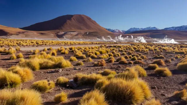 Deserto do Atacama