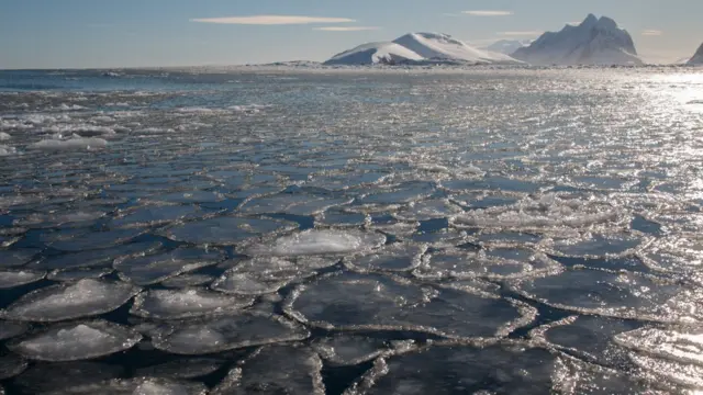 Млинцевий лід