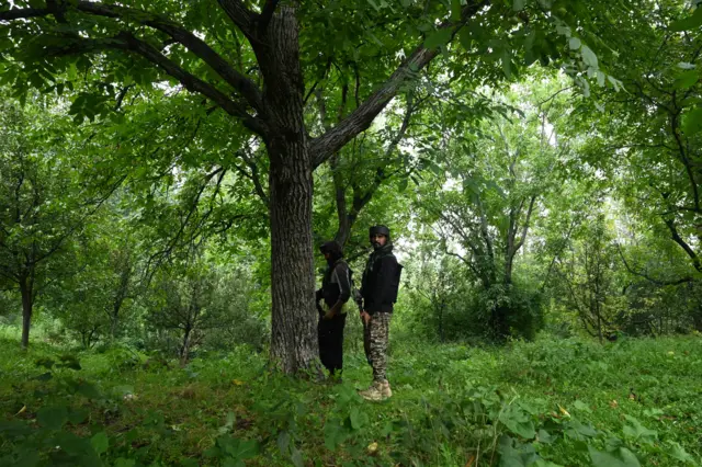 سیبوں کا باغ