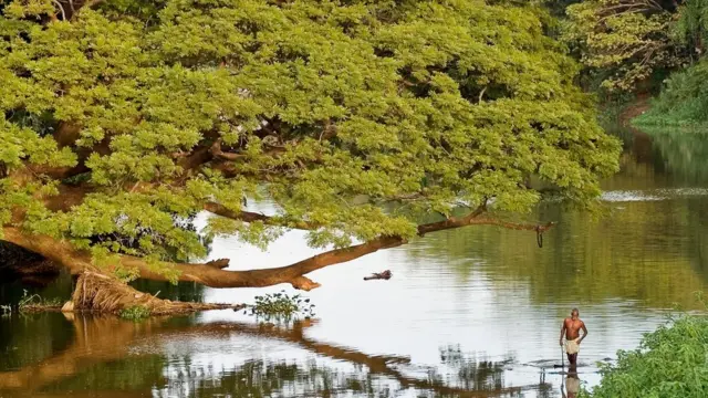 '75000 கனஅடி நீர் திறப்பு: வெள்ள எச்சரிக்கை'