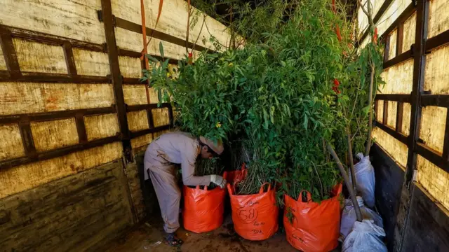 محمدی دربار