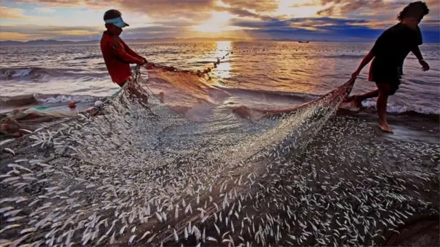 মৎস্য সম্পদ আহরনসহ নানা বিষয়ে পারস্পারিক সহায়তার সিদ্ধান্ত নিয়েছে বাংলাদেশ ও মালদ্বীপ