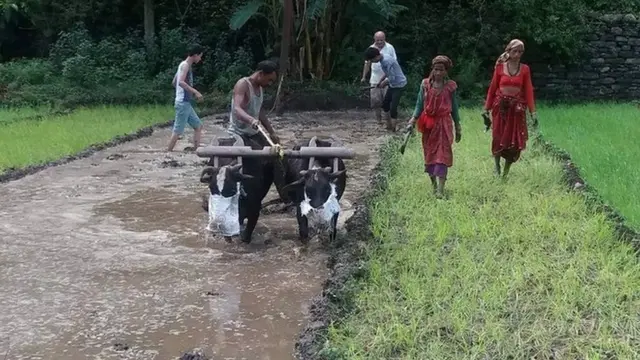 बाली