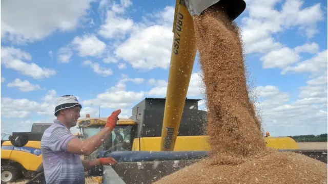 Такі аграрні гіганти, як Kernel, Louis Dreyfus Company, Glencore, Cofco та Cargill вже давно працюють на українськмоу ринку, а також забезпечують левову частку українського зернового експорту