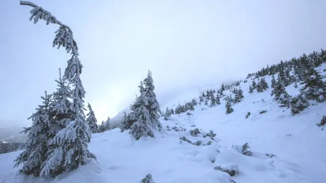 У Карпатах - найвищий рівень лавинної небезпеки