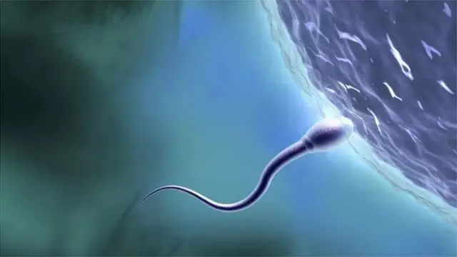 स्पर्म काउंट