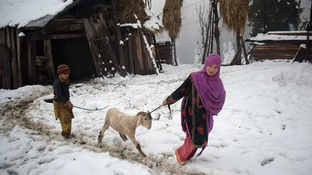 બક્કરવાલ સમાજની પ્રતીકાત્મક તસવીર