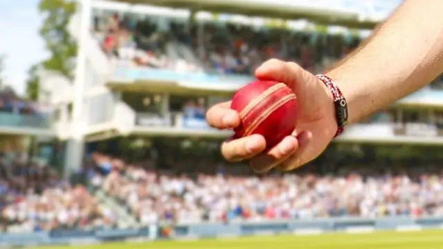 cricket ball