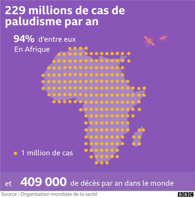 On dénombre environ 400 000 décès dus au paludisme chaque année.