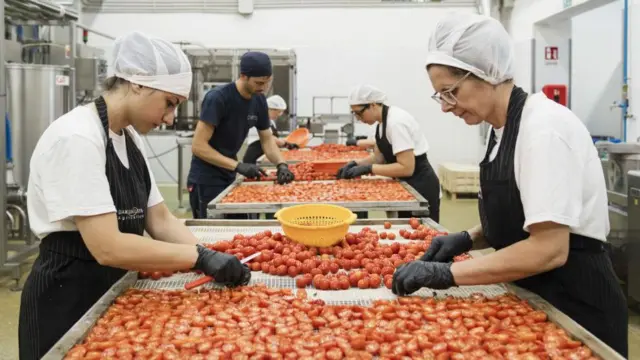 ਖੇਤ ਮਜ਼ਦੂਰ