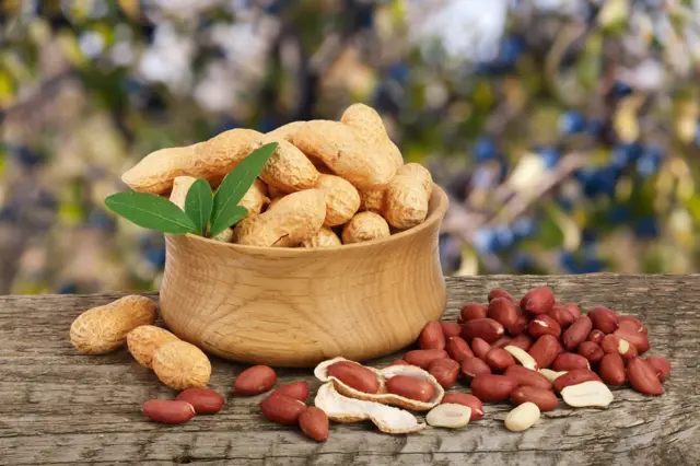 Porno jinsiy mitti Katta eshakli ayollar porno rasmlar