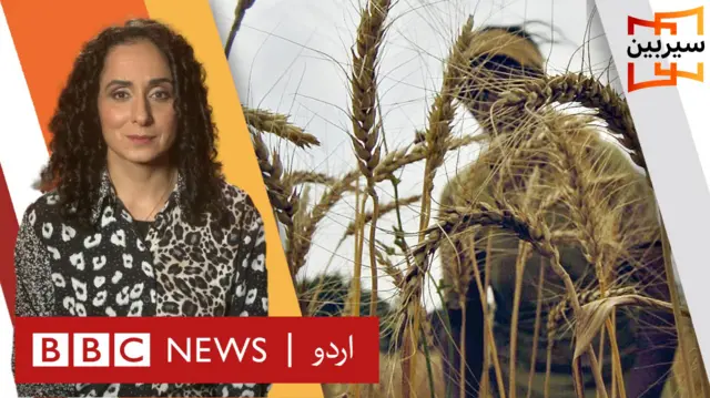 wheat crisis