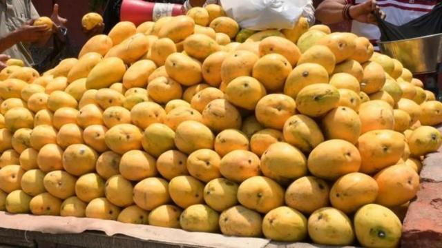 நீரிழிவு நோய் இருந்தால் மாம்பழம் சாப்பிடலாமா? மருத்துவர்கள் சொல்வது என்ன?