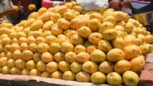 நீரிழிவு நோய் இருந்தால் மாம்பழம் சாப்பிடலாமா? மருத்துவர்கள் சொல்வது என்ன?