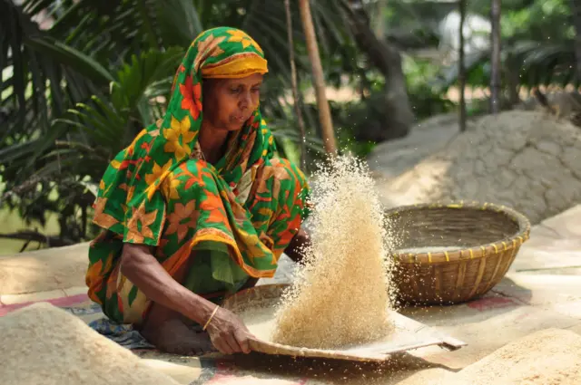 চাল পরিষ্কার করছেন একজন নারী
