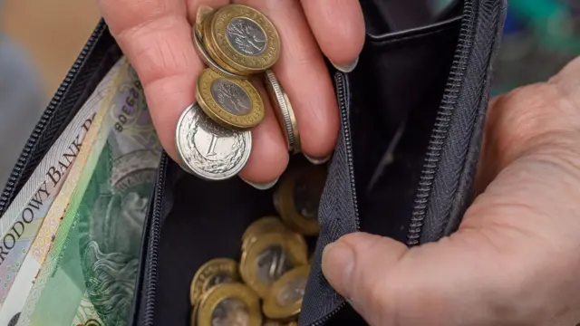 Polskie monety i banknoty wkładane do portfela.