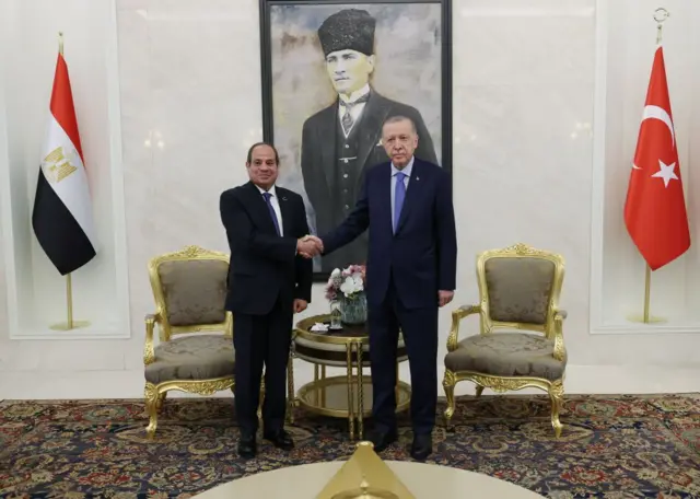 Sisi ve Erdoğan, Atatürk portresinin önünde