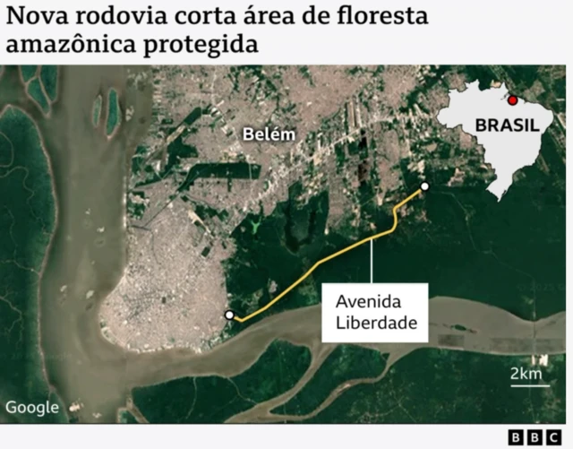 Mapa mostra onde fica a Avenida da Liberdade, cortando pedaço da floresta