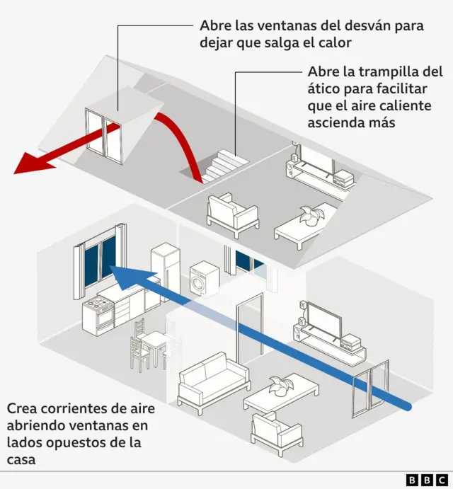 gráfico