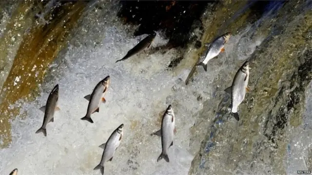 प्रातिनिधिक फोटो