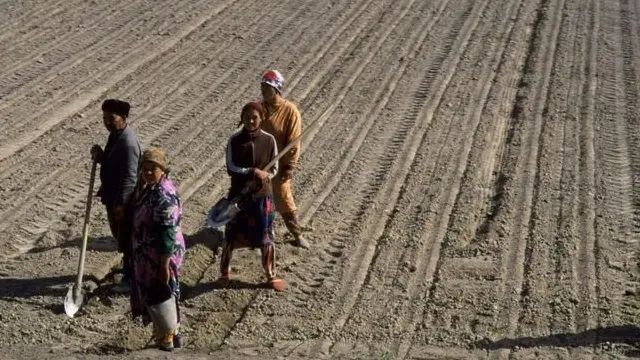 Дала ва деҳқонлар