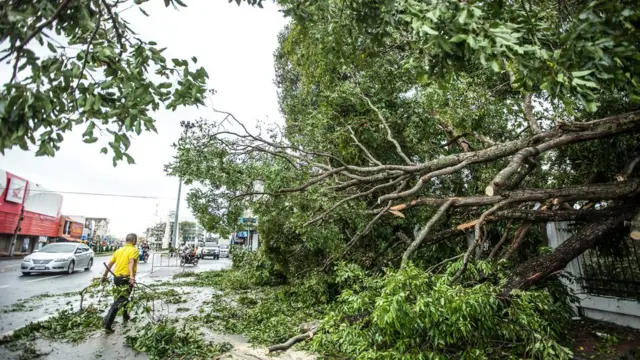 เก็บกวาด