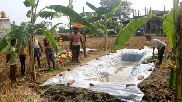झापा