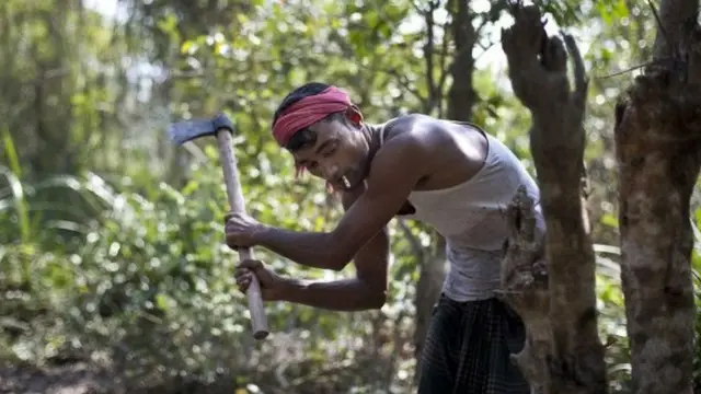 Katta mushukli etuk ayollarning fotosuratlari