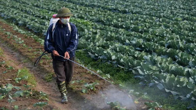 Việt Nam, Mỹ, môi trường, sức khỏe