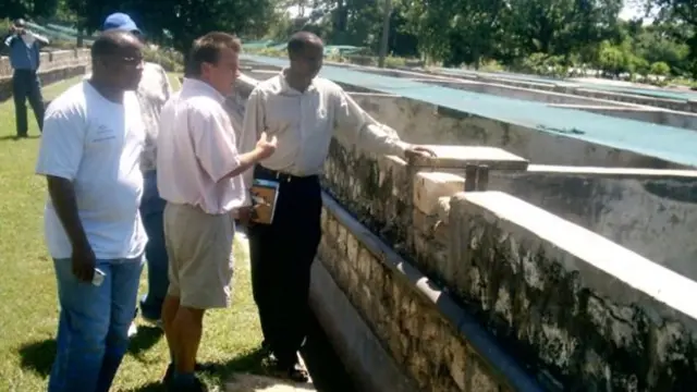 Timsah çiftliğinde ziyaretçiler