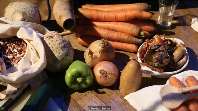 Orquestra Vegetal de Viena