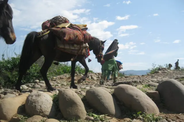 बक्करवाल, जम्मू-कश्मीर, कठुआ